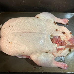 Standardized Segmentation of Frozen Whole Duck