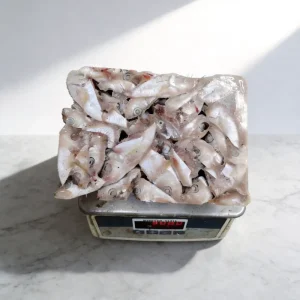 Strong and Productive Chinese Herring Head with Good Quality and Convenient Logistics
