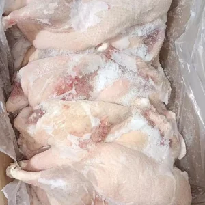 Super Sized Duck Leg Marinated with a Rich and Flavorful Sauce