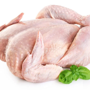Supplier of Frozen Halal Whole Chicken Bulk Quantity