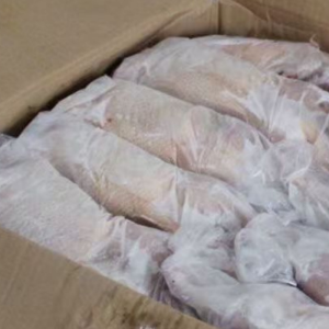 The Small White Duck That Can Be Used for Making Beer Duck