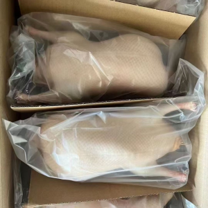 The White Striped Duck for Maintaining Cardiovascular and Cerebrovascular Health