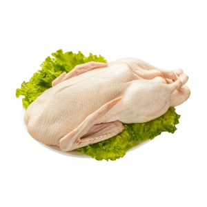 Top Grade Frozen Whole Duck