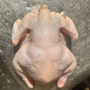 Top Grade Halal Frozen Whole Chicken and Chicken Parts Low Price Sale