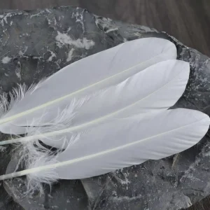 Top Quality Duck Goose Feather Washed and Drying Natural Curved Feather for Making Badminton