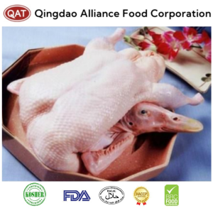 Top Quality Frozen Whole Duck with Head Neck with Feet and Full Wing with Halal Certificate