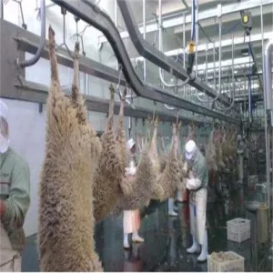 Turnkey Project Sheep Goat Lamb Slaughtering Equipment Suitable for Slaughterhouse