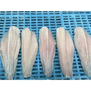 Vietnam 10kg Bulk Pack Pangasius Basa Tra Swai Fillet Fish High Vitamin IQF Style Frozen Fish HACCP Certification