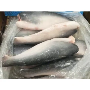 Vietnam Basa Pangasius HGT Headed Gutted Tailed IQF Frozen Fish Seafood Factory Price