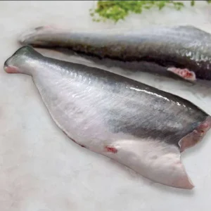 Vietnam Export Price Pangasius Fish Cleaned Headless Whole Frozen Basa Fish HGT