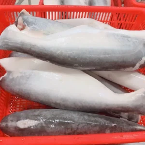 Vietnam Origin Frozen Pangasius HGT