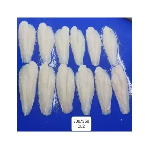 Vietnam Pangasius Basa Tra Swai Fillet Fish 10kg Bulk Pack IQF Style High Vitamins HACCP Certified Frozen Fish