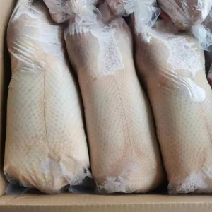 White Breasted Ducks That Provide Vitamins and Minerals