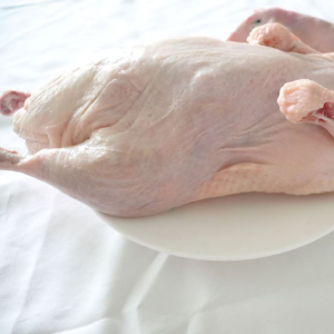 White Feathered Duck for Chinese Preserved Meat Products