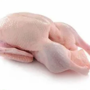 Whole Duck Frozen Whole Duck Supplier