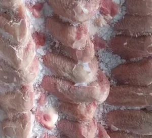Whole Duck Wings Frozen Three joint Duck Wings for Restaurant
