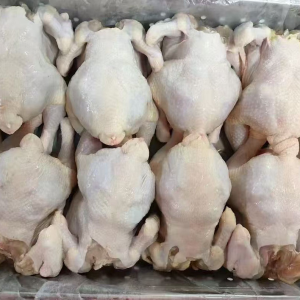 Whole Frozen Chicken for Export Chicken Breast Chicken Legs and Chicken Drumstick