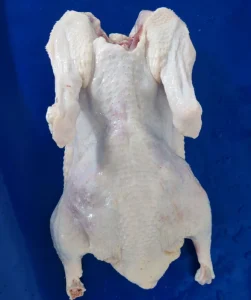 Whole Frozen Duck High Quality Poultry for Export