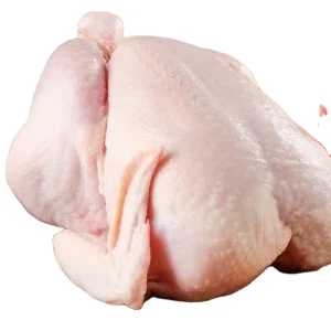 Whole Frozen Duck Meat for Sale at Best Prices