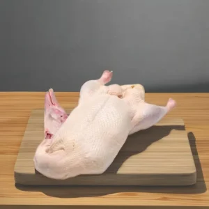 Whole Frozen Duck Premium Fresh Ingredient
