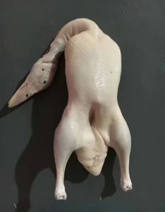 Whole Frozen Duck for Food Service Supermarket