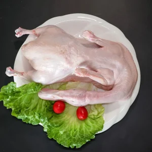 Wholesaling Grain Fed Safe Easy Cook Uniformity Compact Frozen Whole Duck