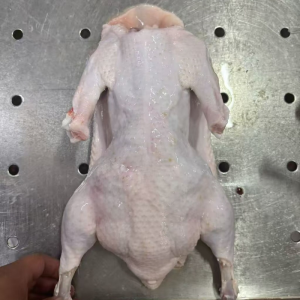 a Suit Duck for Convenient and Simple Cooking at Home