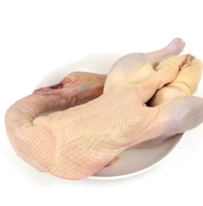 in Stock Frozen Whole Duck Meat Premium Export Ready Cuts for Wholesalers and Buyers