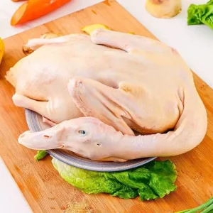 in Stock Halal Frozen Whole Duck Premium Quality & Freshness